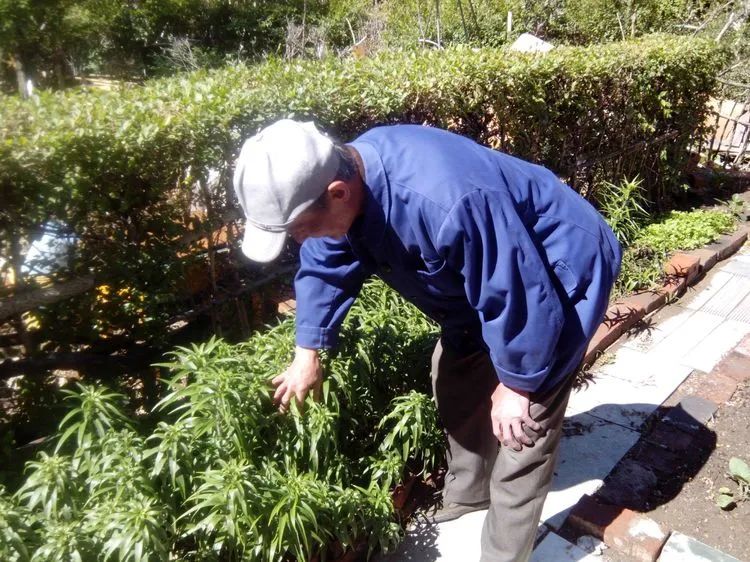 普通一兵朱孔昭——写在38军老战士朱孔昭逝世一周年之际