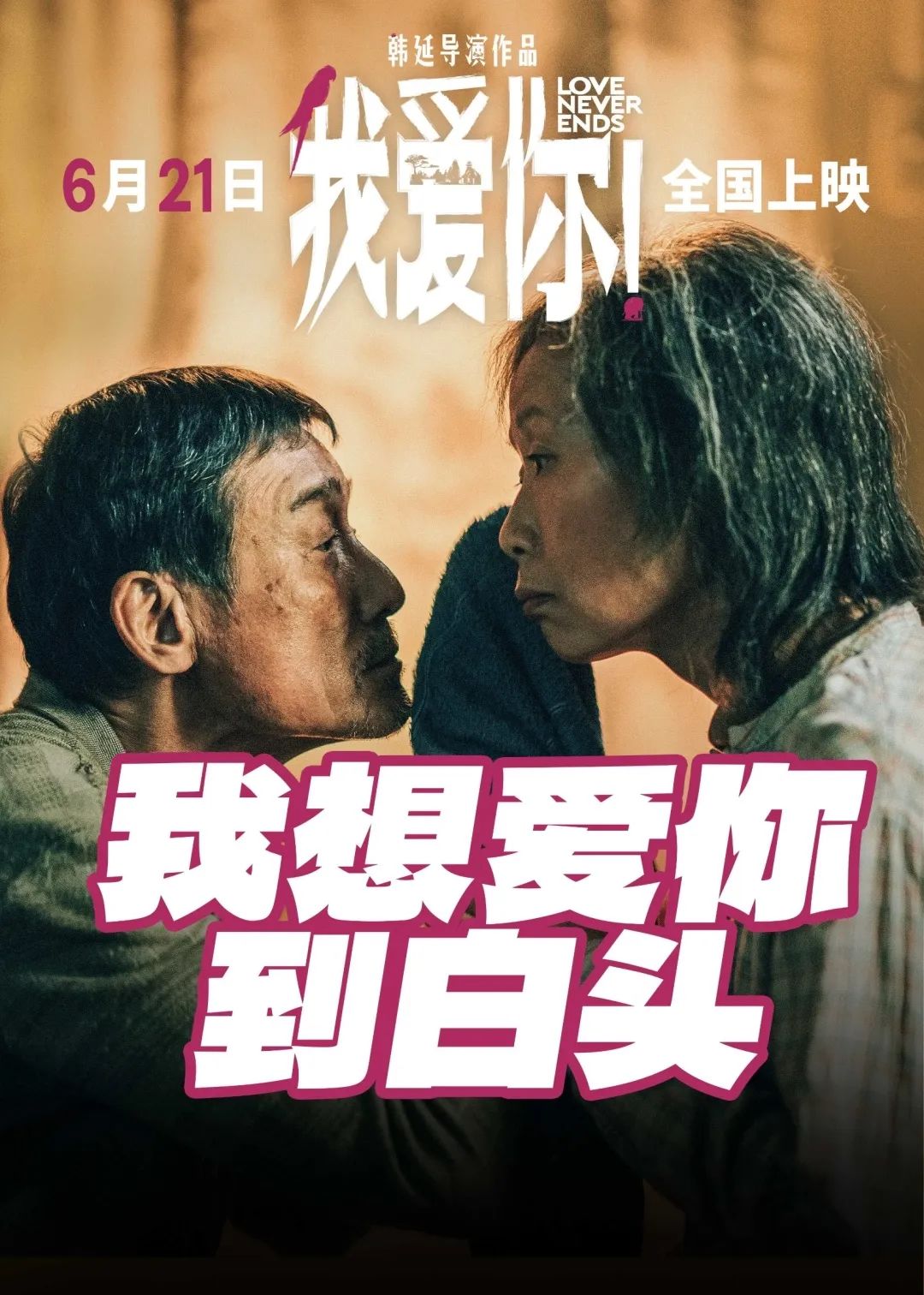 端午档电影上映时间表,端午档电影你看哪部电影