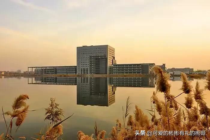 天津师范大学基础教育,天津师范大学基础建设