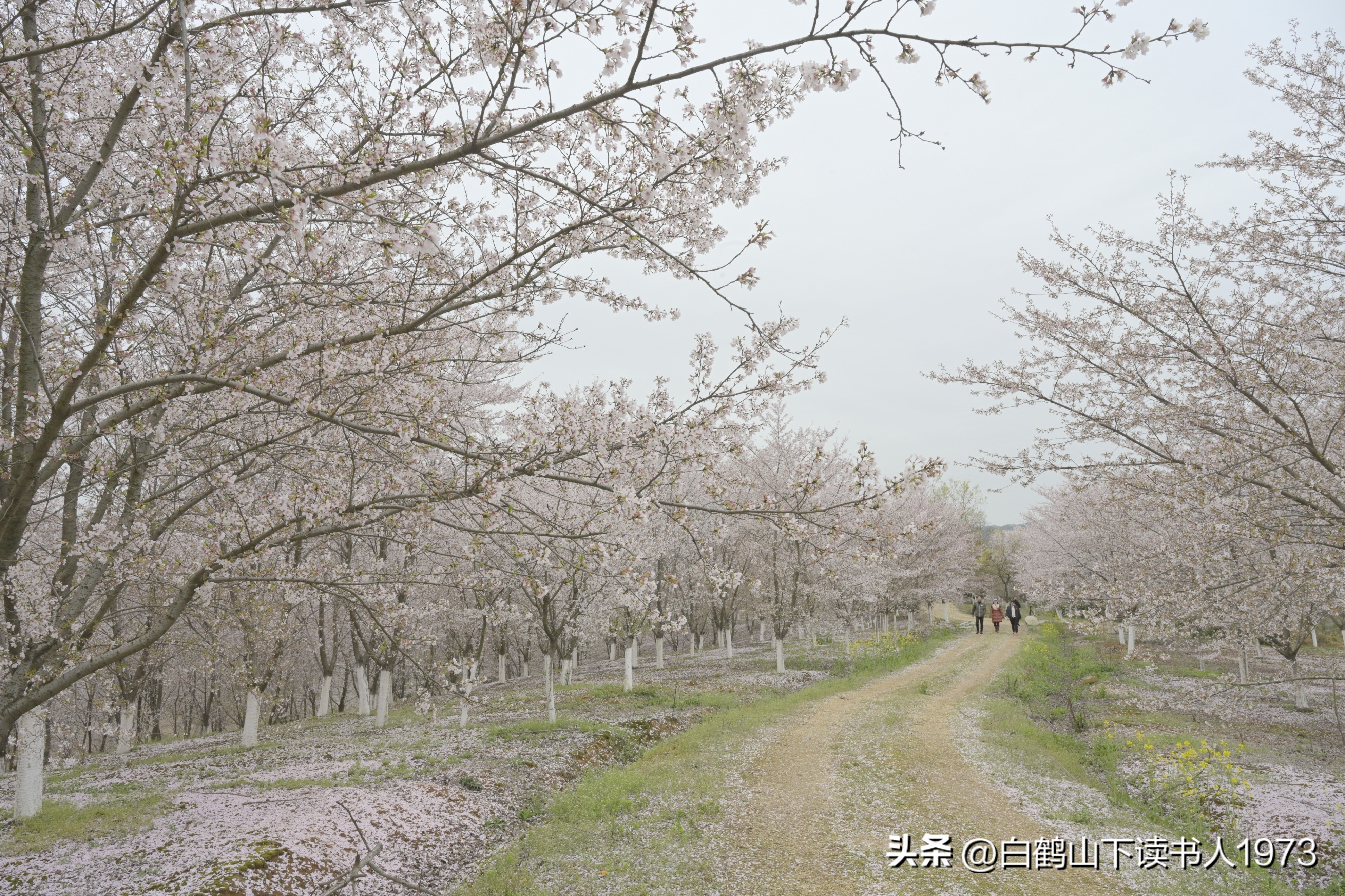 至德堂（122）千里马培育——展望创新人才从小培养
