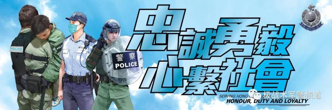 虎年说虎科普视频,虎年说虎运用了哪些说明方法