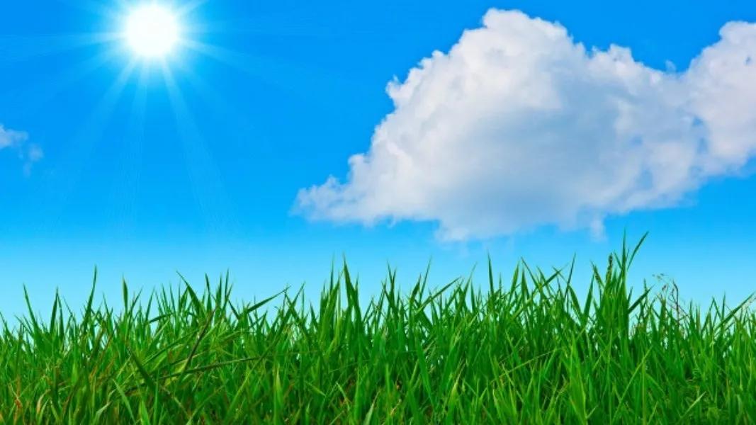 新手自媒体如何发视频才有收益,新手上传视频必学15个技巧