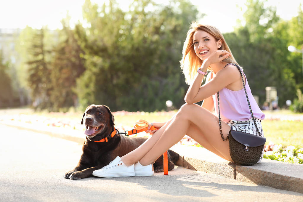 世界上五只最有钱的狗狗，生活奢华无比，享受着最好的待遇