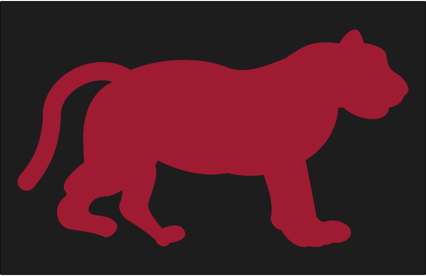 虎年说虎表演,虎年说虎华南虎