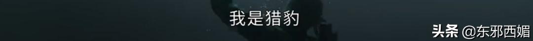 就这套路？真白瞎了这么久的期待