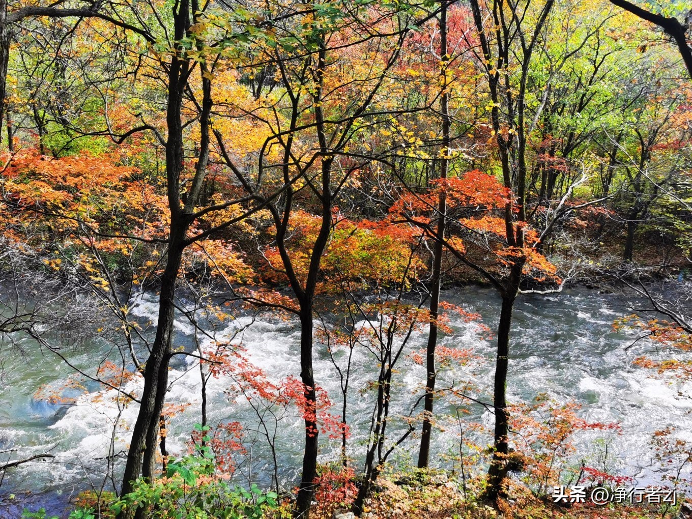 图们江口岸游记,从图们市到牡丹江自驾游