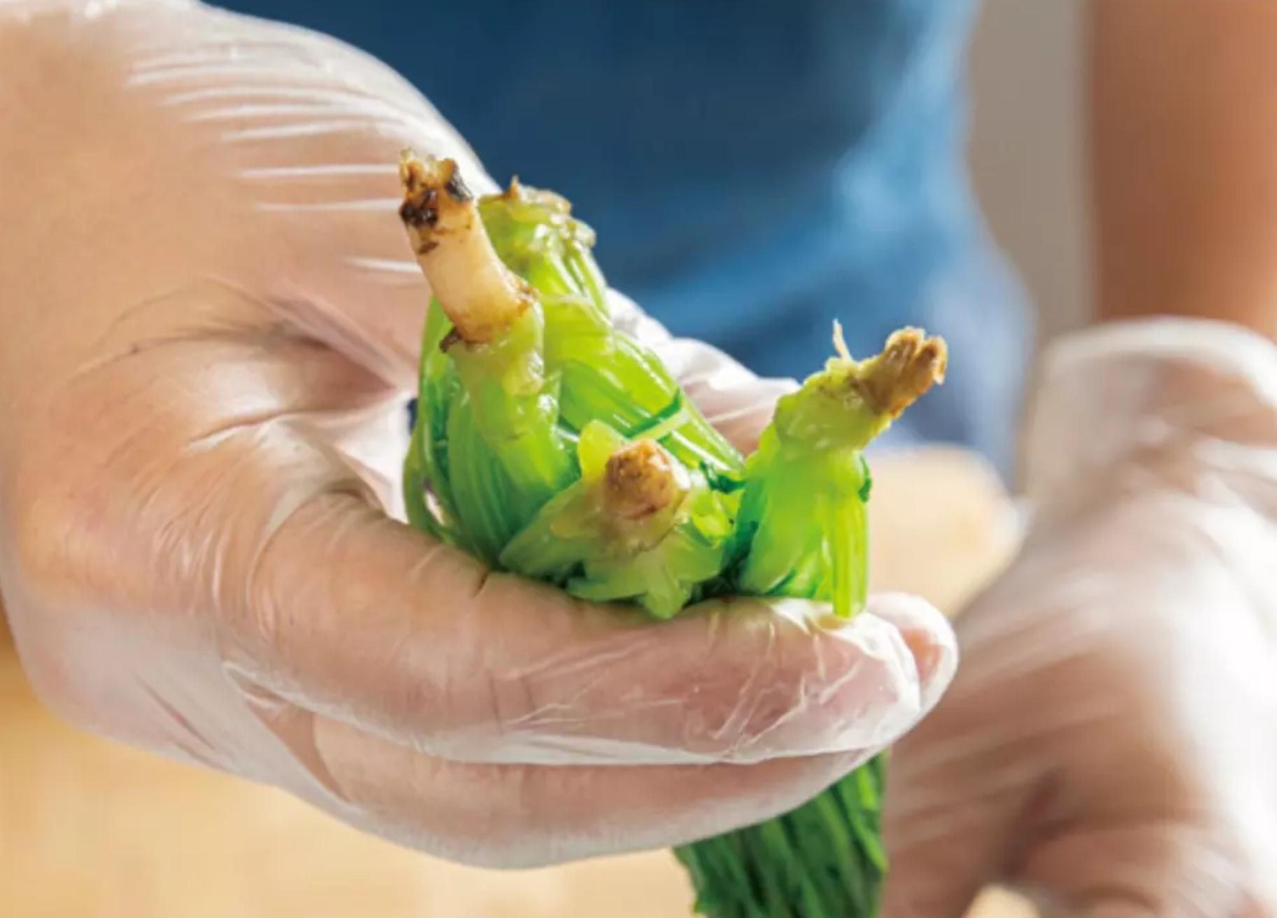 腊八蒜醋凉拌菜,糖醋拌各种小菜的做法