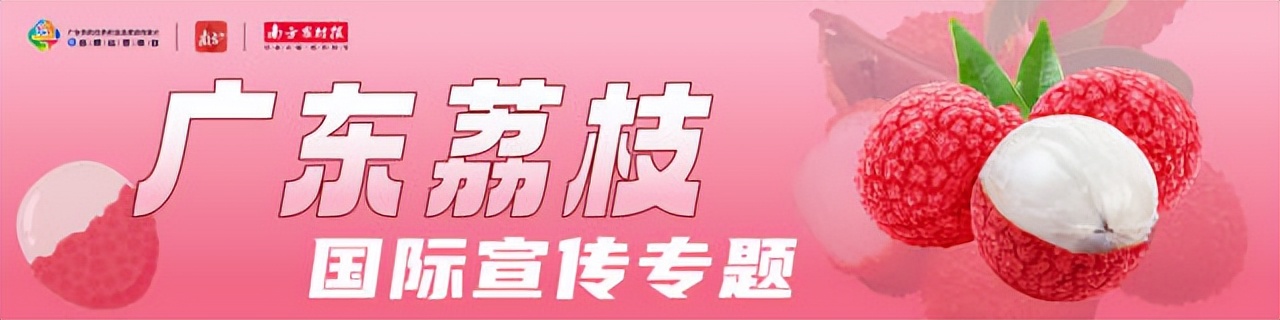 荔枝空运价格表,广东荔枝空运