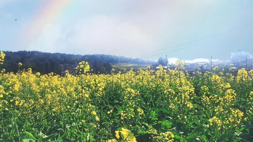 十一月云南旅游攻略腾冲 (从云南腾冲看云南旅游攻略)