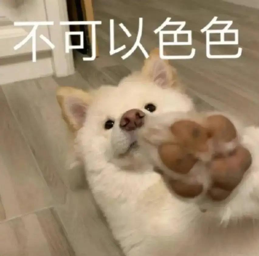 QQ不能发涩图了？LSP们集体落泪