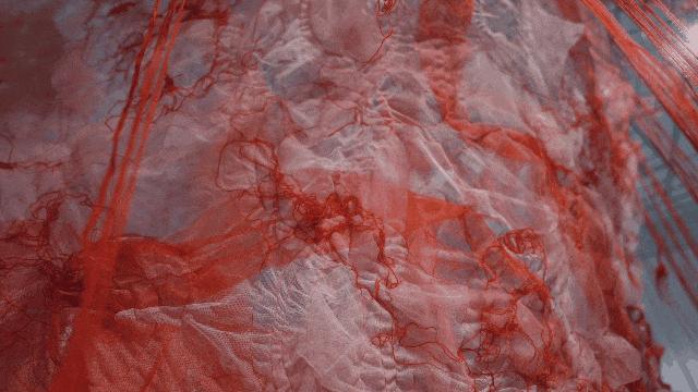 24岁女孩缝出巨型子宫，请人走进去，感受被母体包裹的温柔