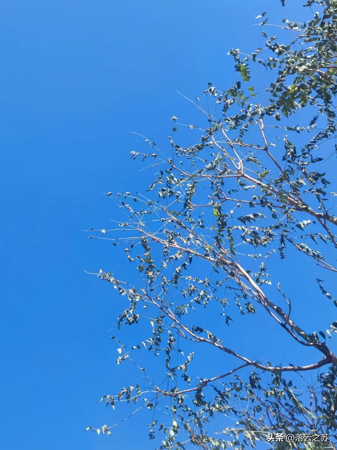 疫情下的五线城市图片真实,疫情下的六七线城市