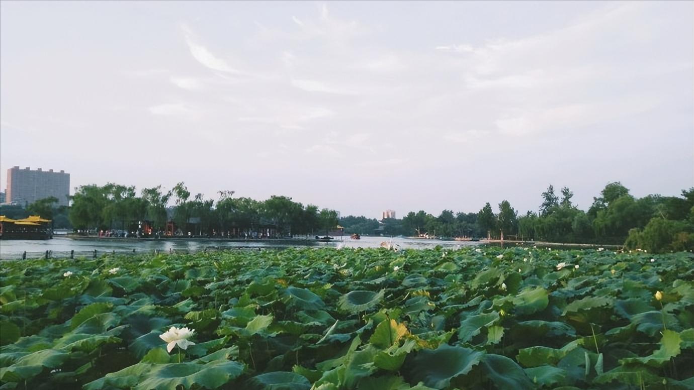 山东省济南市区域划分,山东省济南市哪个区发展最好