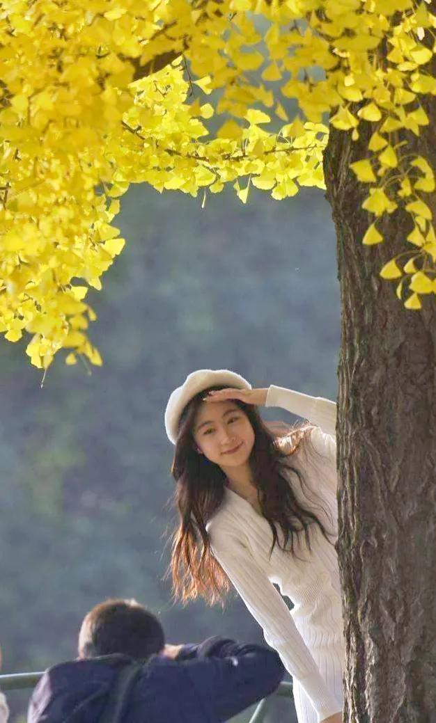 泰兴市百年银杏树,泰兴银杏树受保护么