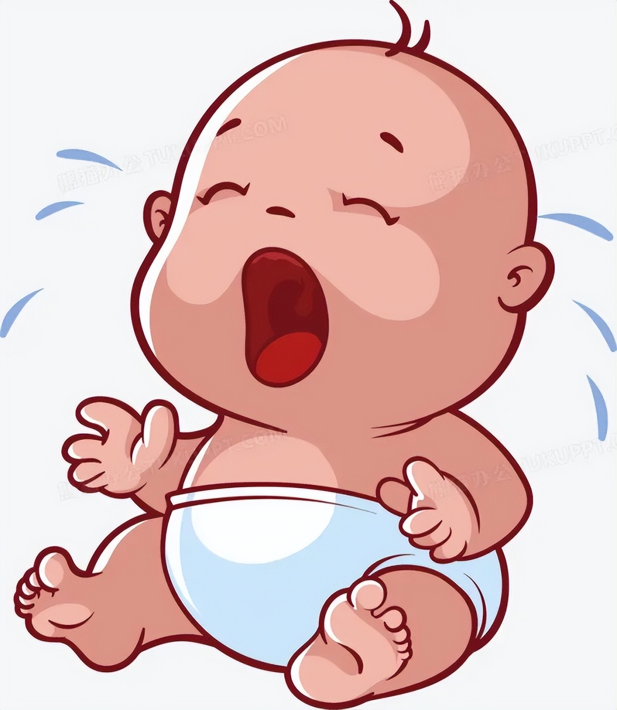 什么人最适合吃活珠子,什么人最适合吃花胶