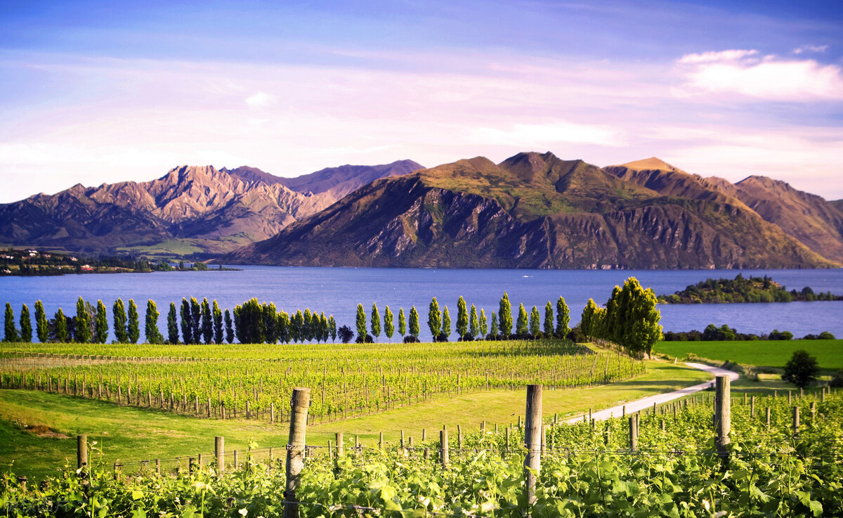 新西兰过海关注意事项,新西兰入境需要注意哪些事项