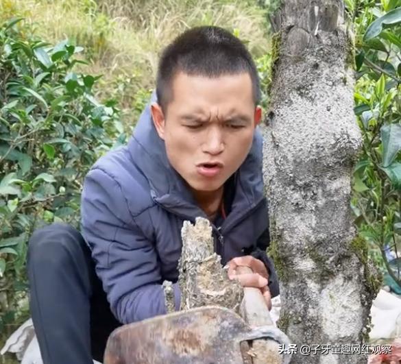 迷茫哥：抽屉里种菜，镜子贴膏药，各种神奇操作笑翻网友