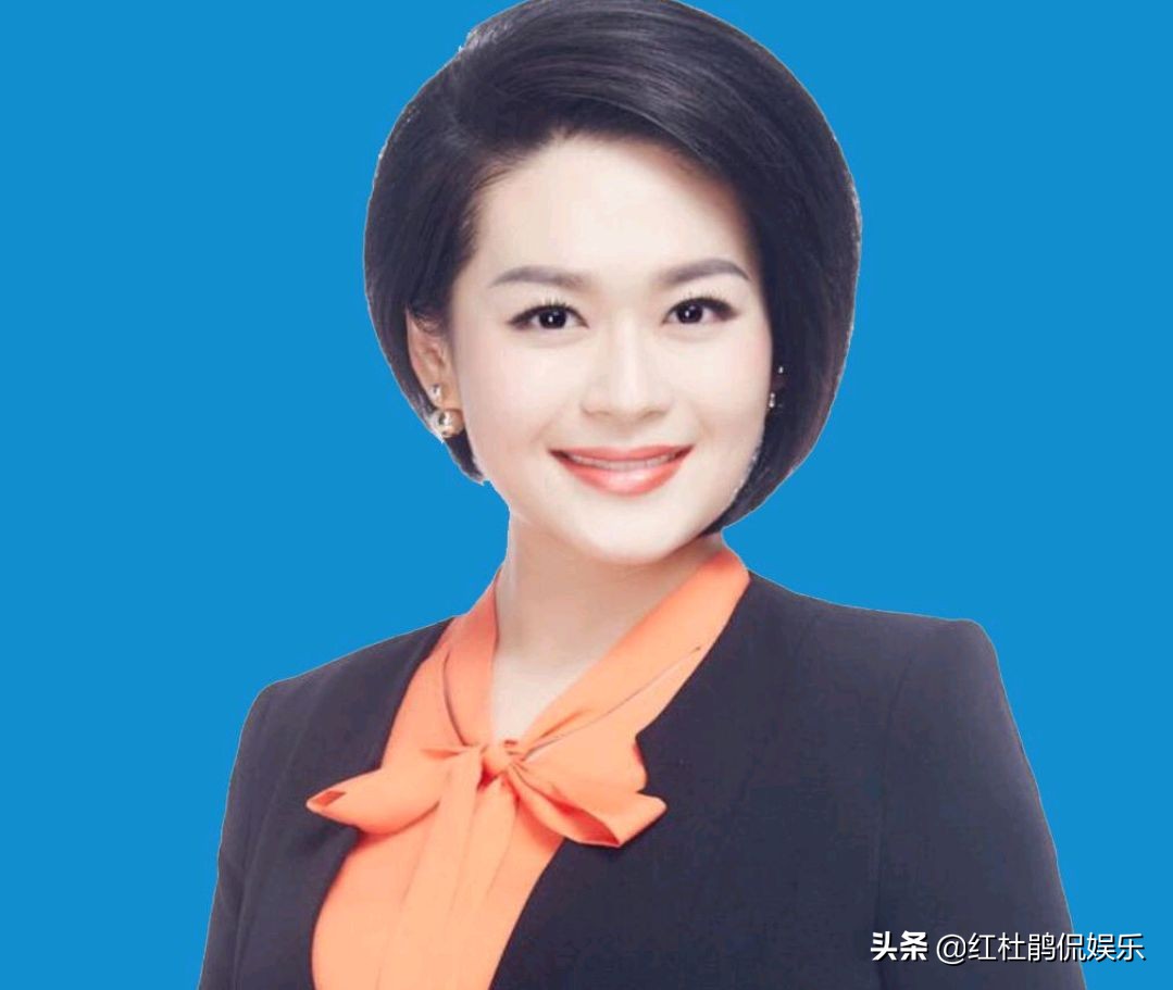 财经频道主持人海同简介,央视主持人海桐简历