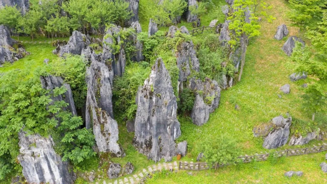茅台机场开通往返兴义铜仁航线,遵义茅台机场最近有什么变化