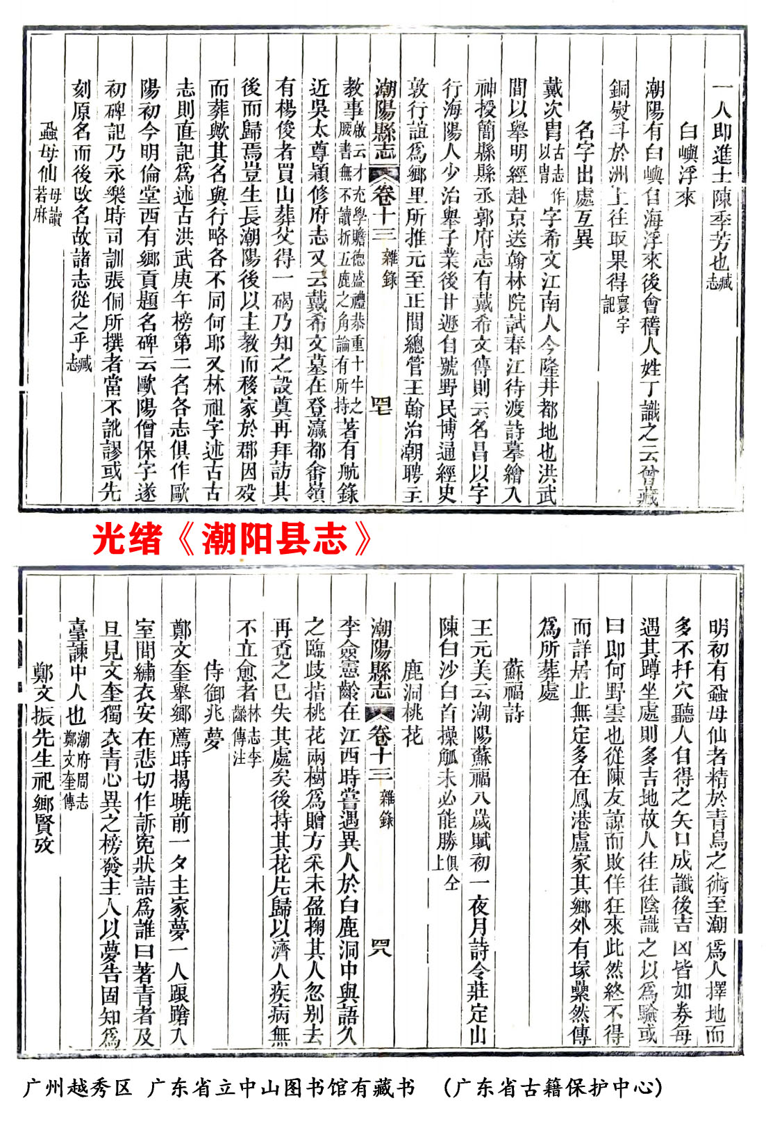 虱母仙何野云的真实身世,何野云虱母仙的故事