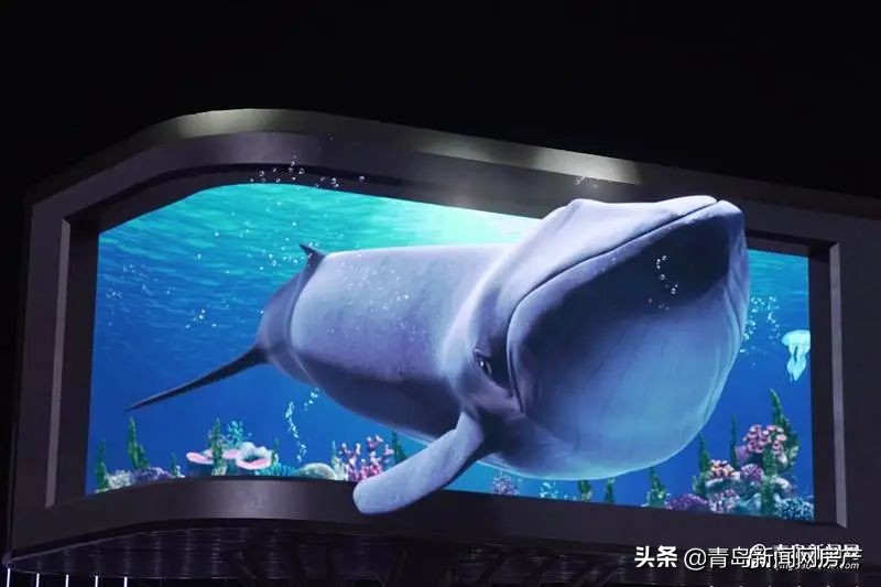 青岛沉浸式裸眼3d屏幕,目不暇接看不够