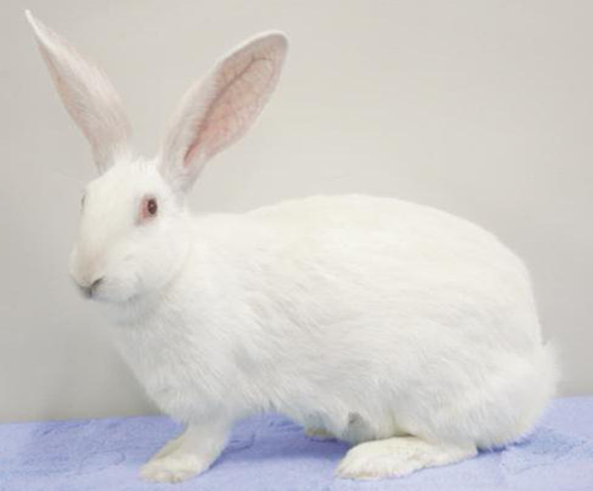 疫情放开后干什么能挣钱,疫情放开后有什么赚钱