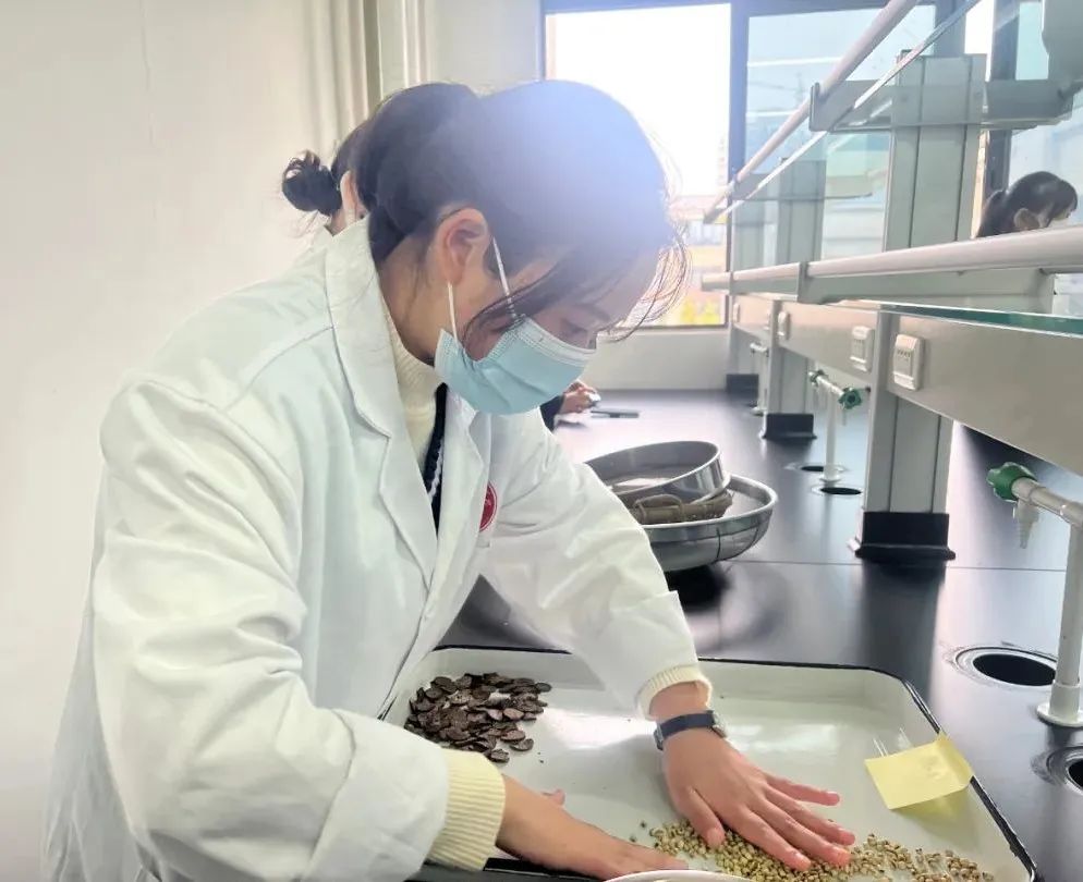 中医学院养生文化,中医学院养生与健康