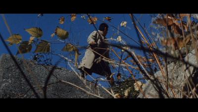 从三船敏郎那里借来的“真由美”，《追捕》幕后的20个冷知识