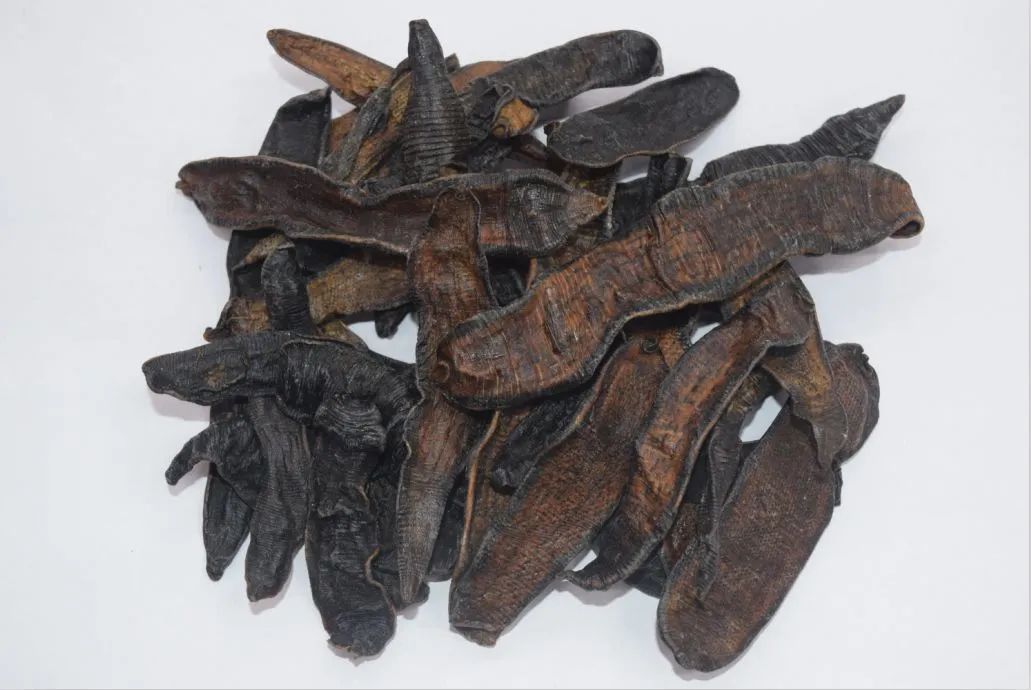 蚂蟥如果没有吸血会死亡吗,蚂蟥被吸血