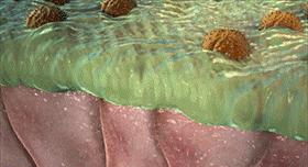 1秒通鼻！10年老鼻炎有救了，终于可以正常呼吸了