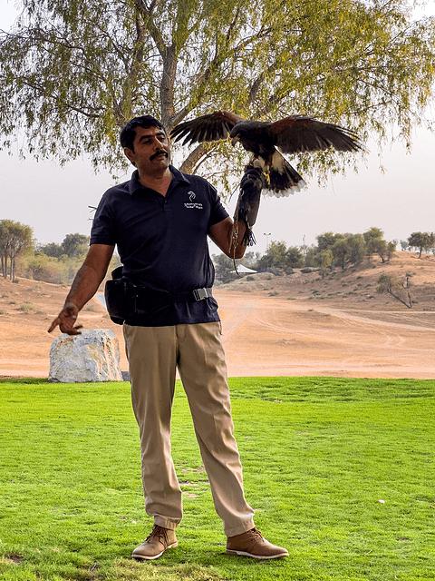 阿联酋丽思卡尔顿,阿联酋野奢帐篷