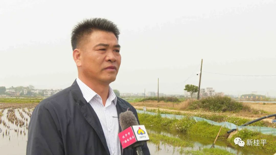 稻虾共养的经济效益,桂平市稻虾综合种养