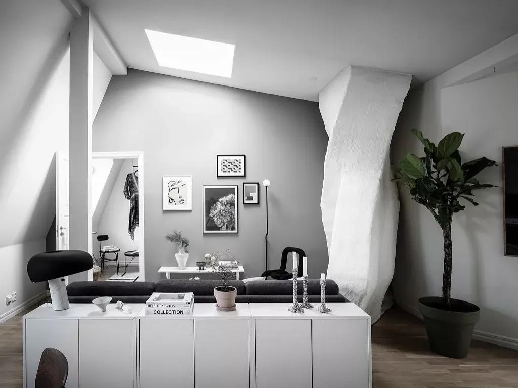 客厅实用盆栽植物有哪些,客厅一般放什么植物盆栽比较好