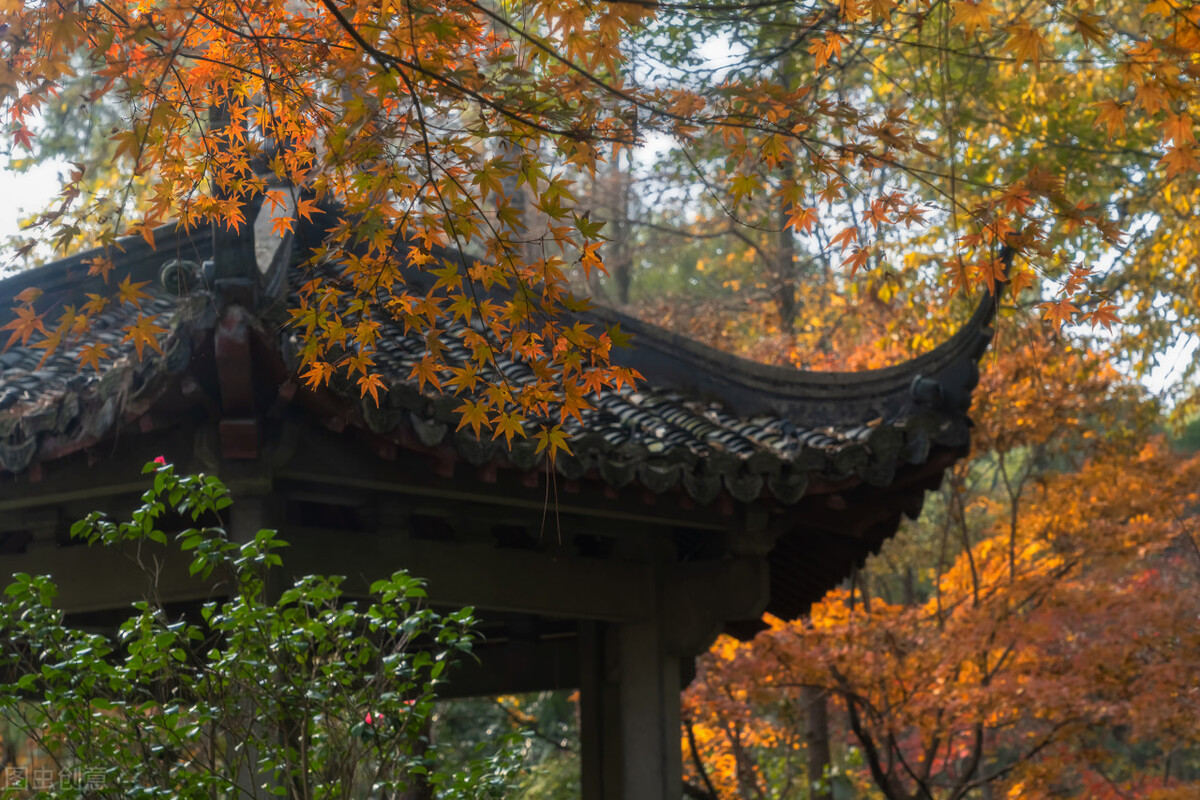 打卡杭州10个风景绝佳的赏秋地,杭州秋天最值得玩的地方