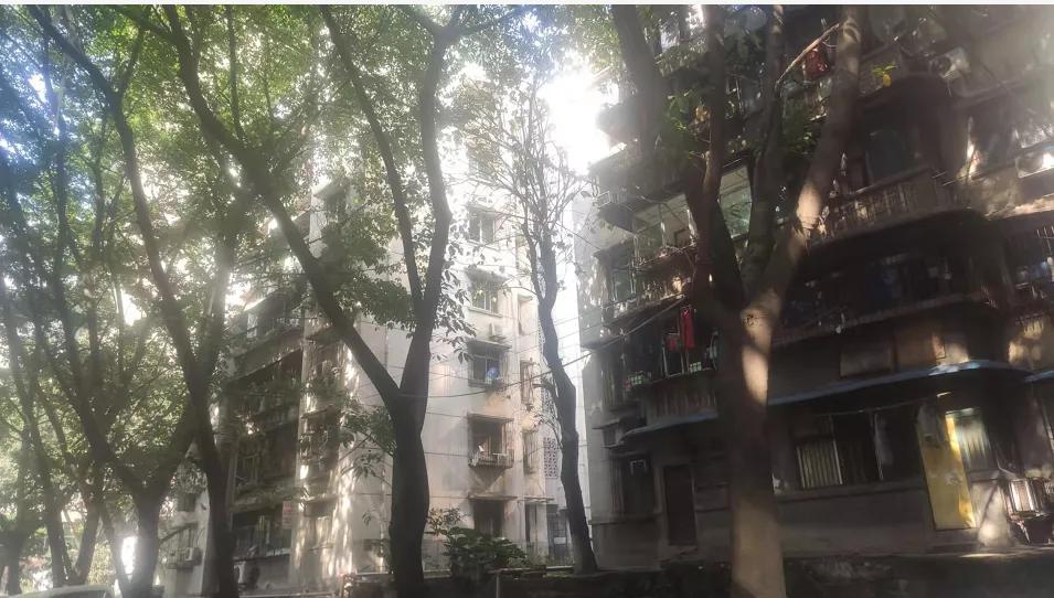 重庆杨家坪最新拆迁消息,重庆杨家坪拆迁最新