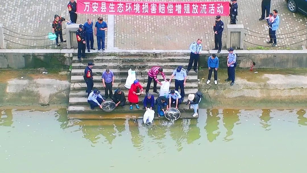 非法捕捞一条鱼垂钓者被罚2000元,非法捕捞鱼58.5公斤判几年