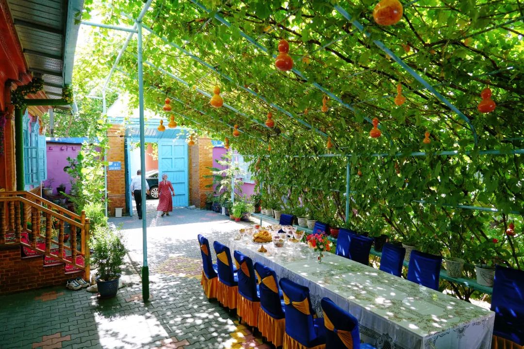 从伊犁出发的南北疆旅游攻略,火爆的新疆游