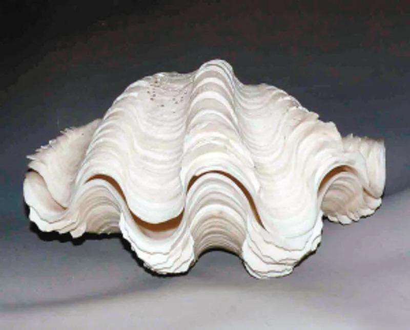 和珅官帽顶珠价格,和珅怎么可以戴王爷的顶珠