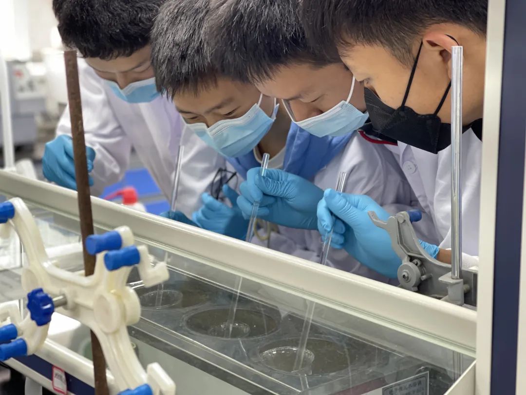 树德协进2016年升学率,树德协进一级示范