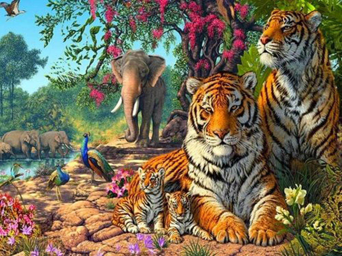 老虎单枪匹马能打过大象吗,五头老虎能打过一只大象吗