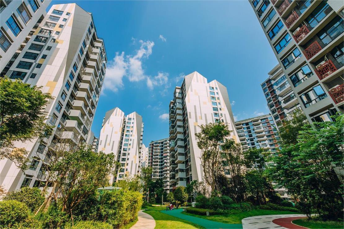 黄楚龙星河地产2019年年会,星河集团黄楚龙深圳拿地总面积