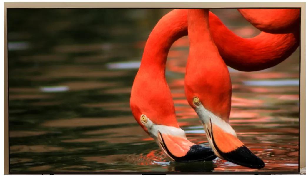 海信85e7和索尼75x85j电视哪个好,tcl海信索尼哪个好