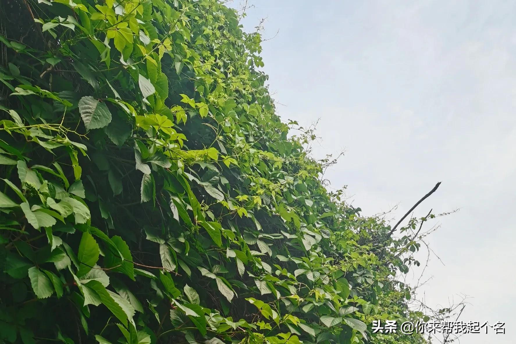 群内打广告该怎么正确管理,群里有人打广告怎么清除