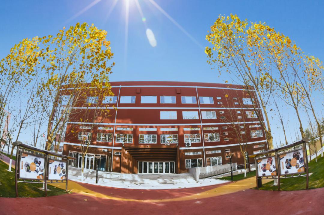 中考后转国际学校,中考转轨国际学校怎么考