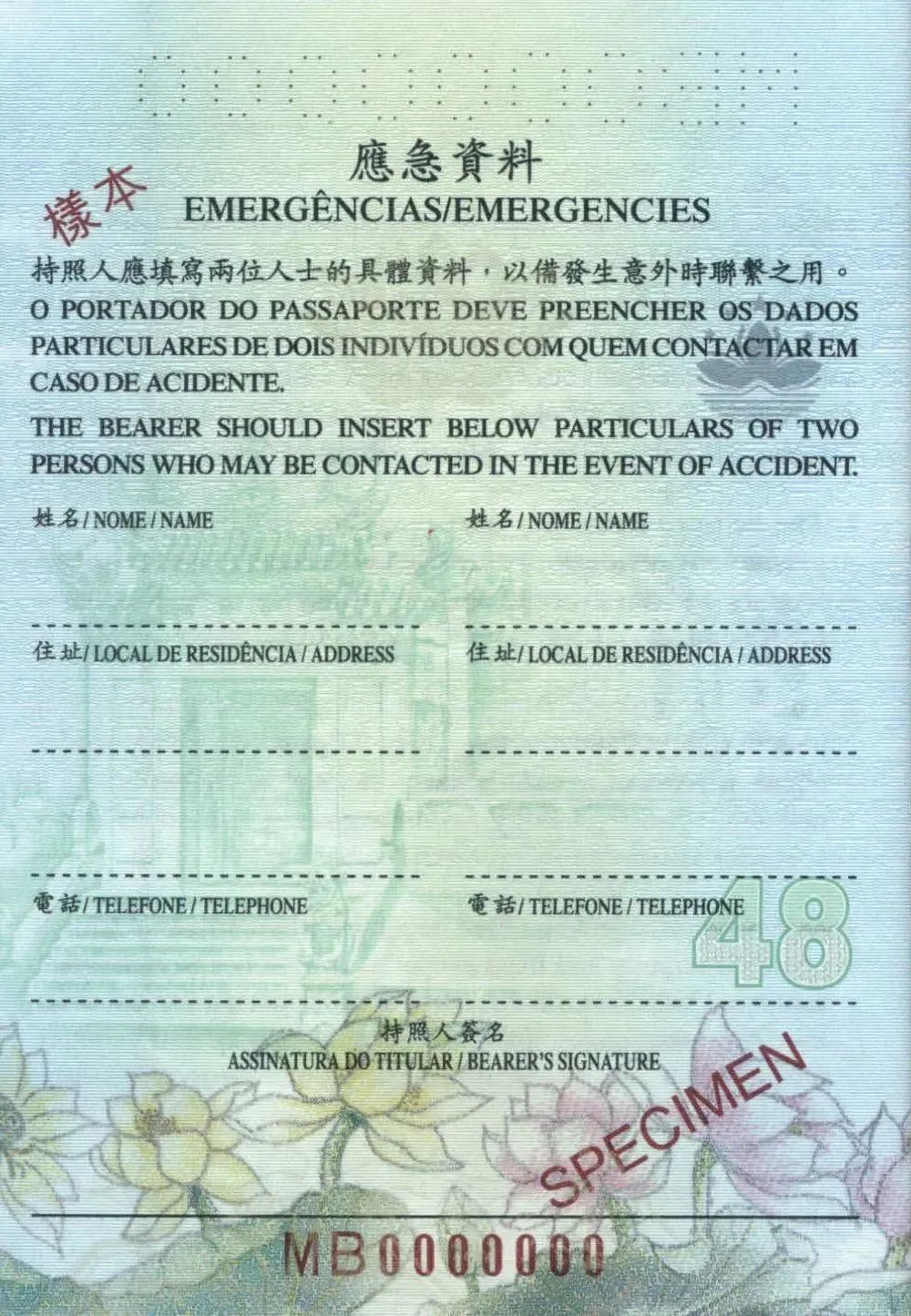 中国护照一般分为哪几种,中国护照有几种类型