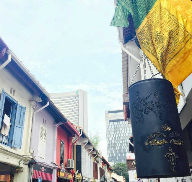 新加坡南洋理工大学,新加坡国立大学