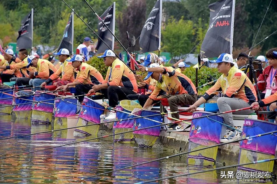 麦积投资指南——魅力麦积兴业热土