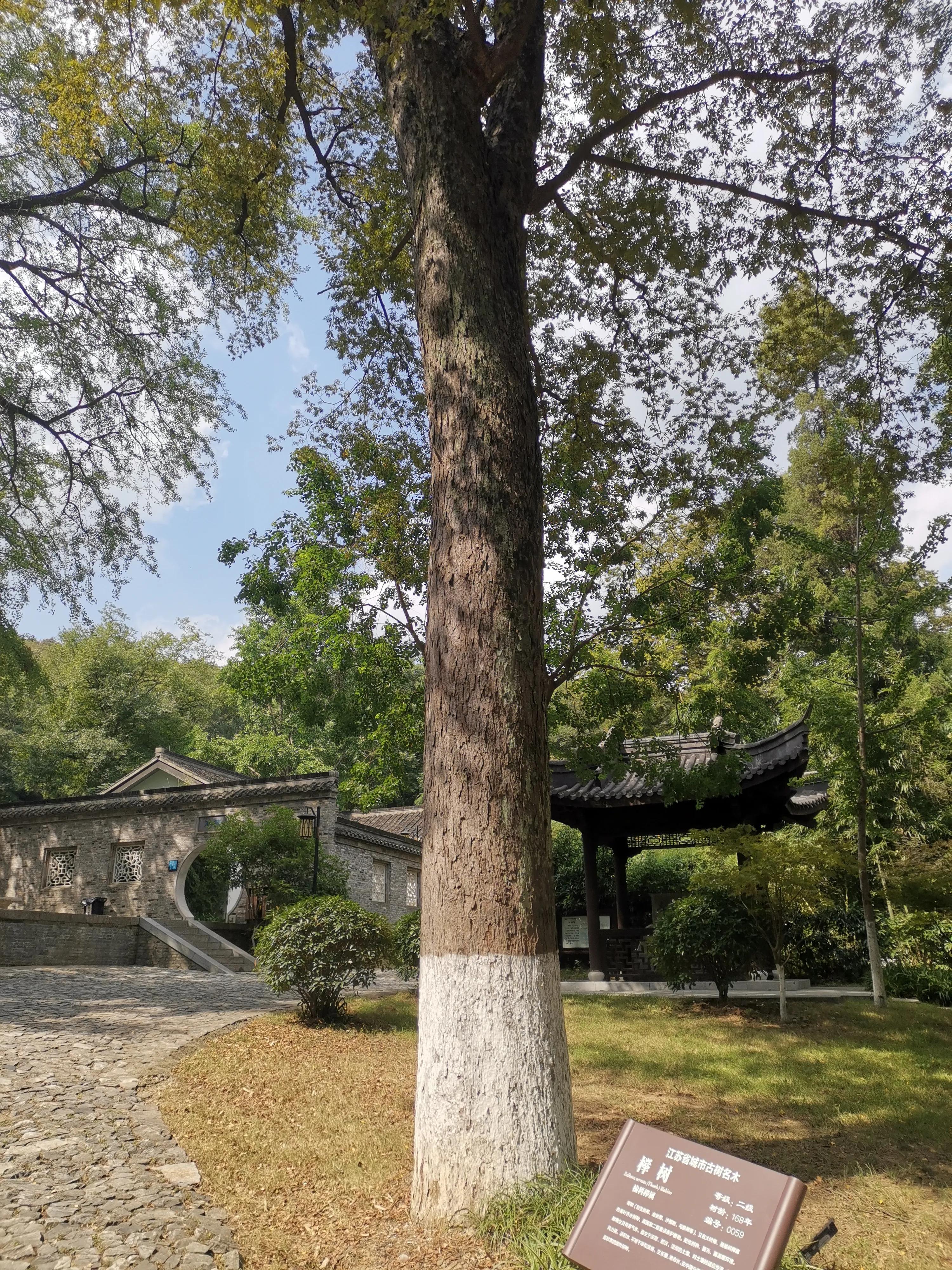 南京出发到镇江一日游跟团多少钱,南京去镇江旅行攻略路线