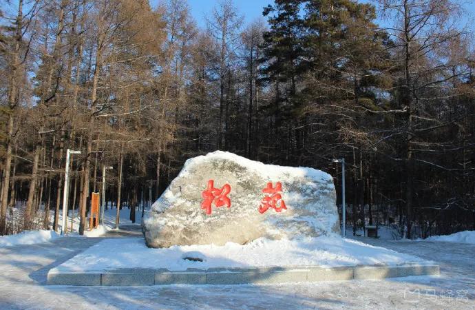 东北边境游怎么样,东北边境游住宿