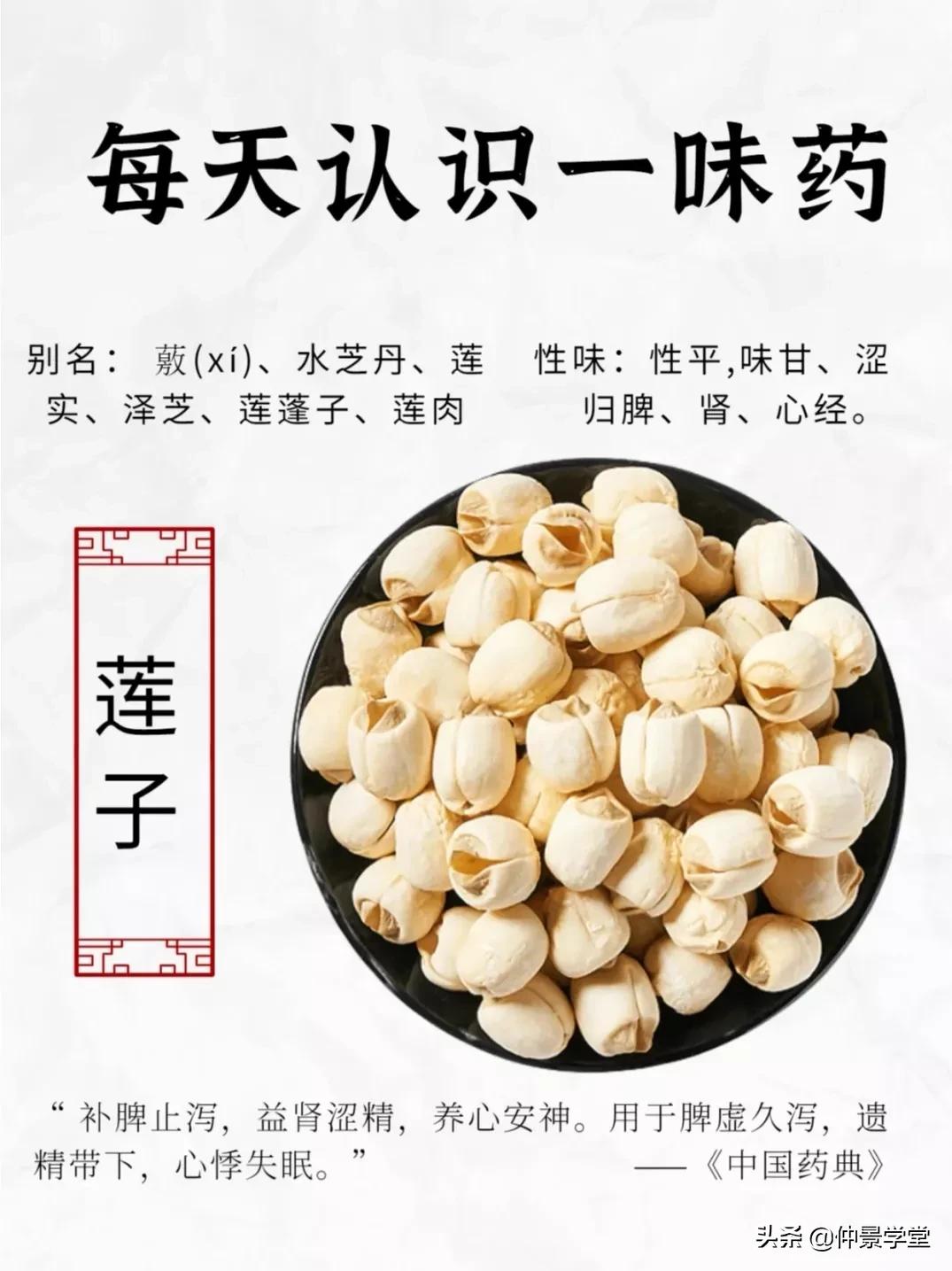 和莲子功效相同的中药,每天认识一味中草药